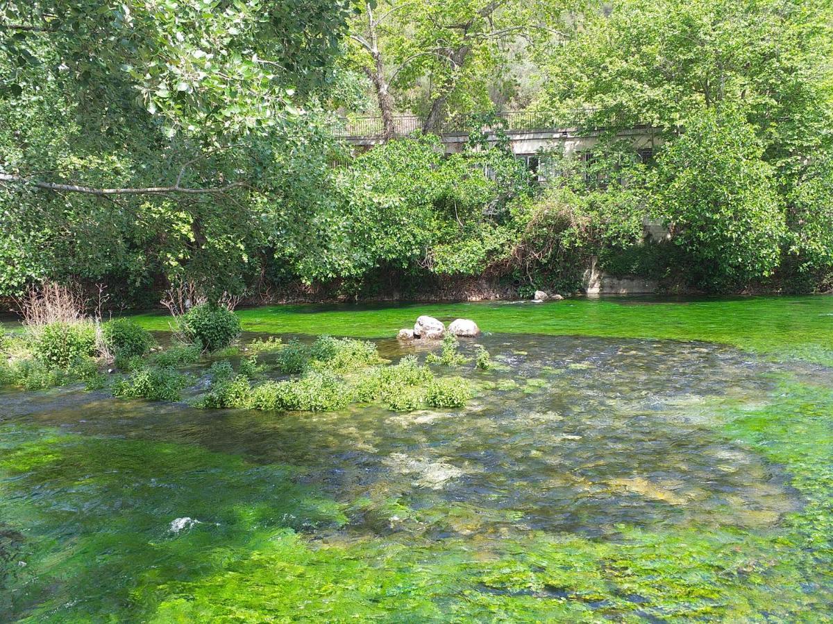 Maison Au Coeur De Fontaine De Vaucluse, Nichee Sur Le Rocher Et Surplombant La Sorgue Fontaine-de-Vaucluse Exterior foto